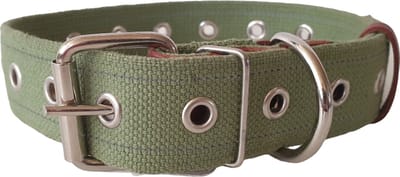 WAUDOG Canvas Halsband / Hondenhalsband - Katoen - Groen - Reflecterend - L - Breedte: 35 mm - Nekomtrek: 42 - 59 cm (GELIEVE ALVORENS BESTELLEN OPMETEN)