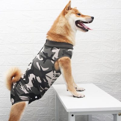 Grensoverschrijdend heet verkocht huisdier sterilisatiekleding chirurgische kleding gestreepte hond spenen zomer M beige