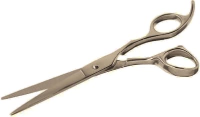 Kappersschaar Professioneel 16cm