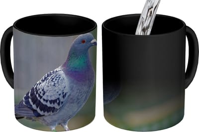 Magische Mok - Foto op Warmte Mokken - Koffiemok - Duif - Vogel - Paars - Veren - Magic Mok - Beker - 350 ML - Theemok