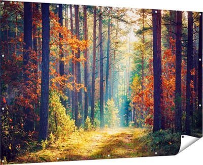 Gards Tuinposter Herfstbos met Zonneschijn - Kleur - 180x120 cm - Tuindoek - Tuindecoratie - Wanddecoratie buiten - Tuinschilderij