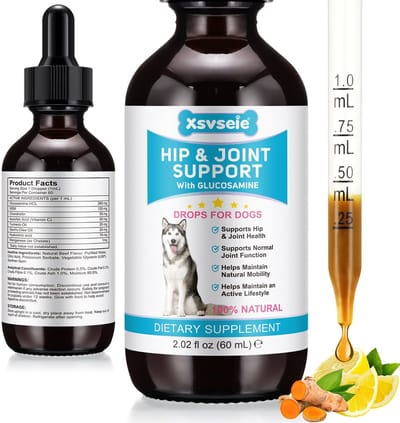 Dailygoods- Chondroïtine Supplement voor Gewrichten - Pijnverlichting - Glucosamine Druppels - Mobiliteit - Ontstekingsremmer - Bevorderde Gewrichtsgezondheid - Gewrichtssupplement