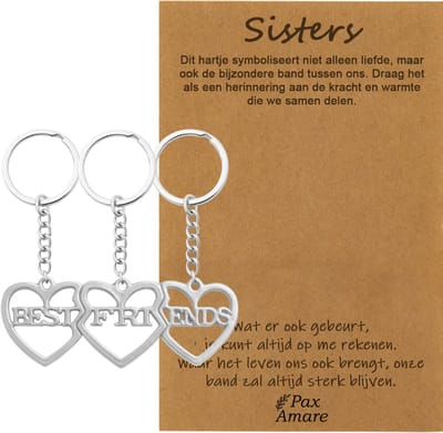 BFF Sleutelhanger voor 3 'Sisters' - 3 hartjes - Sleutelhangers op Cadeau Kaartje - Zilverkleurig - Vriendschap Symbool - Pax Amare