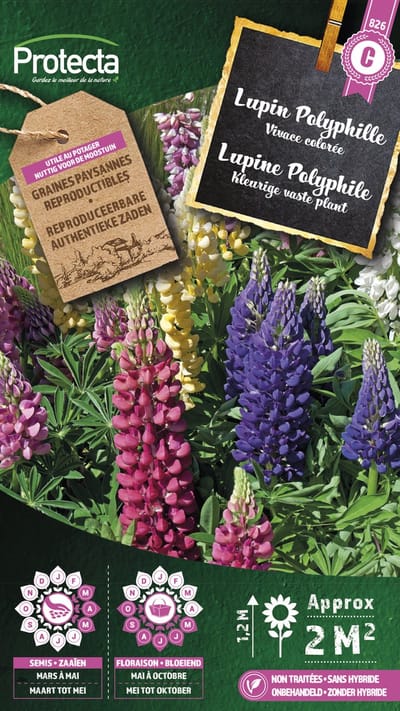 Protecta Bloemen zaden: Lupine Doorlevend | Lupinus