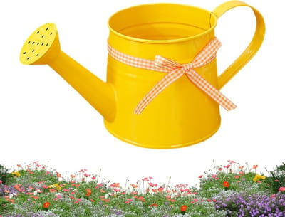 Thijox - Kleine gieter voor kamerplanten, metalen waterjerrycan 1L met irrigatiekop, decoratieve waterpot voor binnen en buiten, ideaal voor tuin, gaz