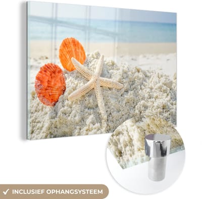 MuchoWow® Glasschilderij 120x80 cm - Schilderij acrylglas - Schelpen - Zeester - Zand - Foto op glas - Muurdecoratie woonkamer - Wanddecoratie slaapkamer - Schilderijen
