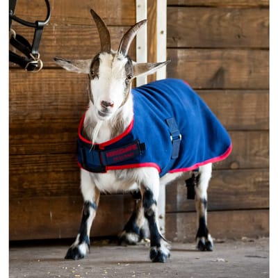Geitenjas Horseware