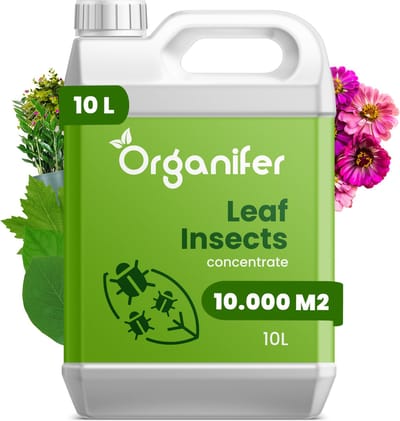Leaf Insects Bladinsecten Concentraat (10L, 10.000m2) - Bladluis – Buxusrups – Geschikt voor wolluizen, spint, anri-rupsen, bladluizen, taxuskever, witte vlieg, trips en andere bladinsecten – Organifer