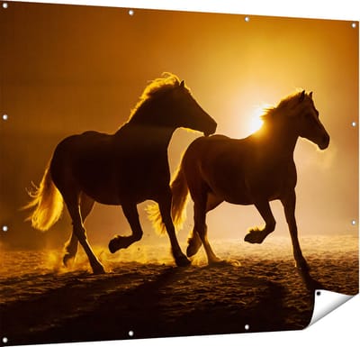 Gards Tuinposter Silhouet van Twee Paarden - 150x120 cm - Tuindoek - Tuindecoratie - Wanddecoratie buiten - Tuinschilderij