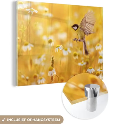 MuchoWow® Glasschilderij 40x30 cm - Schilderij acrylglas - Vogel - Koolmees - Bloemen - Margriet - Foto op glas - Schilderijen