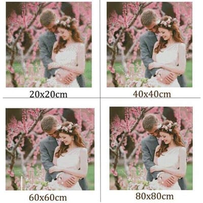 diamant schilderij DIY kruissteek dier kat strass diamant borduurwerk 20X30CM white