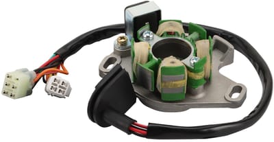 Dailygoody - WOOSTAR Magneetstator Vervanging voor 1996-2000 RM 250 RM250 - 6 Spoel 10 Draads OEM 32101-37E00