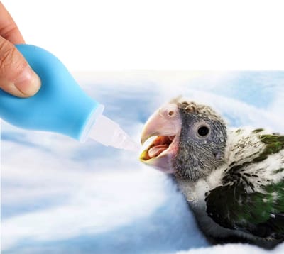 Actie4you® - Baby Vogelvoederbak – Siliconen & Kunststof – Vogel Voeder fles - Kleine dieren voeden - hulpmiddel - 30 ml - Blauw