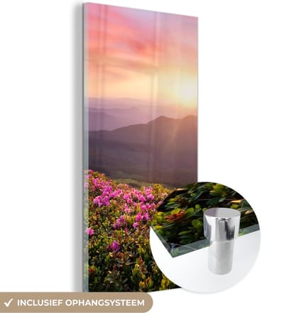 MuchoWow® Glasschilderij 20x40 cm - Schilderij acrylglas - Bloemen - Berg - Zonsondergang - Landschap - Foto op glas - Schilderijen