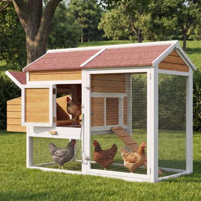 HAUSS SPOLE Kippenhok – Winterbestendig Met Legnest En Uitloop – 185 x 91 x 115 cm – Hout – Naturel – Voor Maximaal 4 Kippen Buiten
