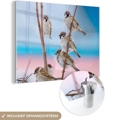 MuchoWow® Glasschilderij 40x30 cm - Schilderij acrylglas - Vogels - Mus - Dieren - Takken - Foto op glas - Schilderijen