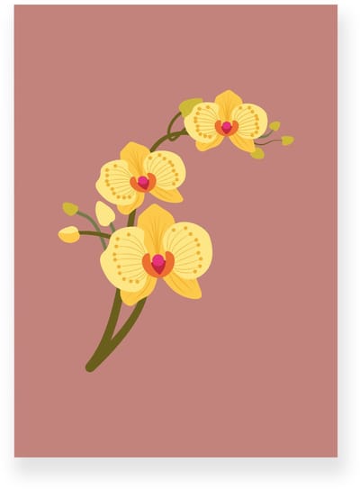 Poster 20x30 cm - Orchidee - Bloemen - Roze - Geel - Minimalistisch - Botanisch - Muurdecoratie - Wanddecoratie