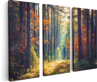 Artaza Canvas Schilderij Drieluik Herfstbos Met Zonneschijn - Kleur - 120x80 - Foto Op Canvas - Canvas Print