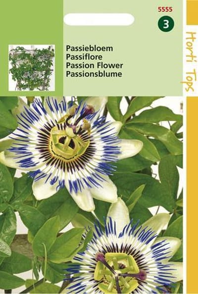 Hortitops Passiebloem