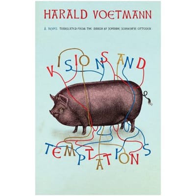 Visions And Temptations - Harald Voetmann