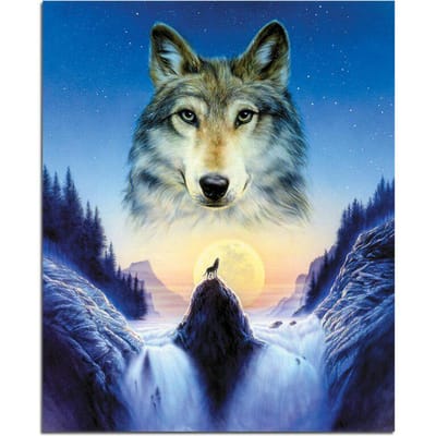 Plein rond 5D bricolage diamant peinture loup diamant broderie Animal diamant mosaïque 20X30CM gray