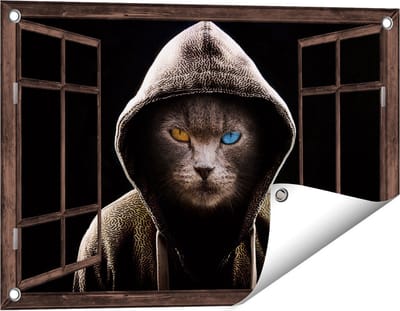 Gards Tuinposter Doorkijk Boze Kat Draagt een Hoodie - 60x40 cm - Tuindoek - Tuindecoratie - Wanddecoratie buiten - Tuinschilderij