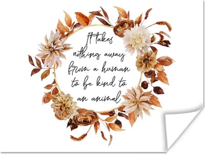 Poster Quotes - Spreuken - It takes nothing away from a human to be kind to an animal - Dieren - 160x120 cm XXL