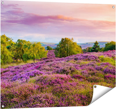 Gards Tuinposter Paarse Weide - 100x80 cm - Tuindoek - Tuindecoratie - Wanddecoratie buiten - Tuinschilderij