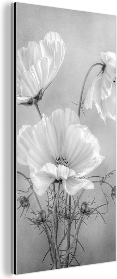 Aluminium schilderij 80x160 cm - Wanddecoratie metaal - Stilleven - Bloemen - Zwart wit - Klaproos - Botanisch - Metalen muurdecoratie woonkamer - Decoratie industrieel - Foto op dibond - Industriële accessoires slaapkamer