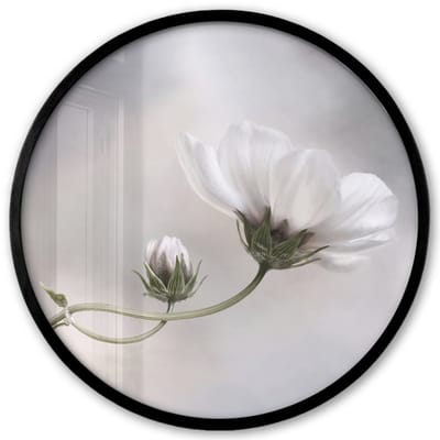 Poster in lijst Rond - Fotolijst 40x40 cm - Posters - Bloemen - Stilleven - Natuur - Grijs - Ronde posterlijst zwart - Decoratie - Wanddecoratie woonkamer - Muurdecoratie slaapkamer