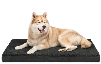 lionto orthopedisch hondenbed, afneembare wasbare hoes 112x81x8 cm zwart