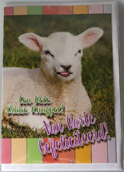 Een hele dikke knuffel! Van harte gefeliciteerd met je verjaardag! Een mooie kaart met een lief en vrolijk lammetje speciaal voor jou. Een dubbele wenskaart inclusief envelop en in folie verpakt.