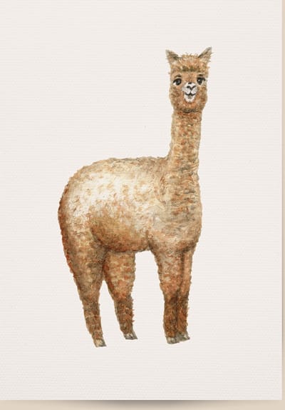 World of Mies poster alpaca - A4 - mooi dik papier - Snel verzonden! - tropisch - jungle - dieren in aquarel - geschilderd door Mies