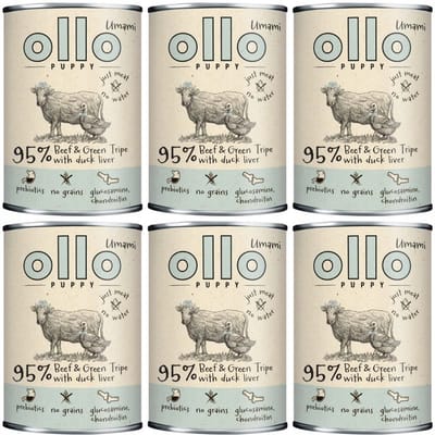 OLLO Puppy Umami - Honden Natvoer - Rundvlees - Groene Pens - Eendenlever