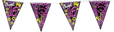 Paper Dreams Vlaggenlijn Sweet 16 Dames 10 Meter Zwart/roze