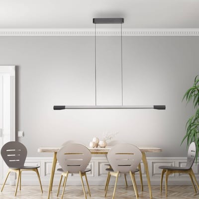 Paul Neuhaus LED hanglamp Hoop, aluminiumkleurig, 128 cm, dimbaar