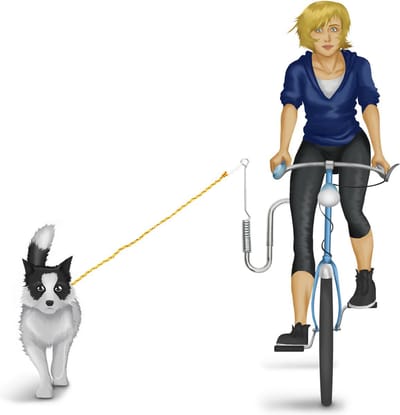 Doodadeals® Fietsbeugel Hond – Met Hondenlijn – Ingebouwde Vering - Hondenlijn voor Fiets - Zilver