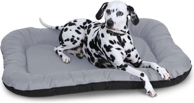 Knuffelwuff waterbestendig hondenbed voor binnen en buiten Lucky L 70 x 46cm grijs