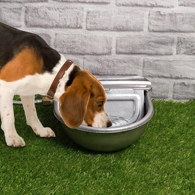 Grand bol à eau automatique en acier inoxydable pour bovins, chevaux, porcs, moutons et chiens - Gamelle d'eau extérieure durable avec design à écoulement facile gray