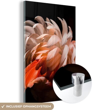 MuchoWow® Glasschilderij 120x180 cm - Schilderij acrylglas - Flamingo - Veren - Licht - Macro - Foto op glas - Schilderijen