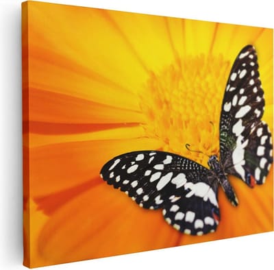 Artaza Canvas Schilderij Bloem Met Vlinder - 40x30 cm - Klein - Muurdecoratie Vlinders - Wanddecoratie Bloemen - Schilderijen Op Canvas
