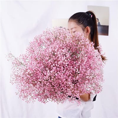 Gedroogde Bloemen - Natuurlijke Decoratie - Bruiloft Kantoor - Echte Plantenmaterie - 40-55cm Hoog - Oranje