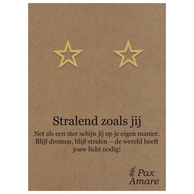 Stainless Steel Ster Oorbellen op Cadeau Kaartje - Stralend zoals jij - ± 10x10mm Oorknopjes Zilverkleurig Roestvrij Staal - Pax Amare