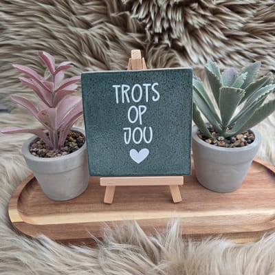 Robuust Wenstegeltje “Trots op Jou” – 10x10cm – Lief Cadeautegeltje met Hartje – Trendy nu – Geslaagd – vriend(in), familie, gezin, zomaar – Decoratief Tegeltje met Standaard – Cadeau Idee