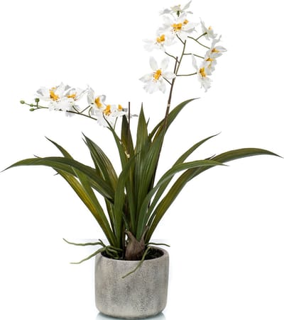 Witte orchidee kunstplant in keramische pot 45 cm - Orchidaceae - Woondecoratie/accessoires - Kunstplanten - Nepplanten - Orchidee planten in pot