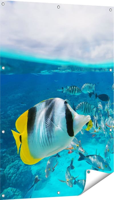 Gards Tuinposter Zwerm Gele Vissen in het Water - 80x120 cm - Tuindoek - Tuindecoratie - Wanddecoratie buiten - Tuinschilderij
