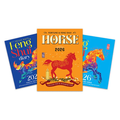 Boeken Set van 3, Horoscoopboek Paard/Horse, Almanac en Diary 2026