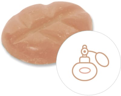 Scentchips® Ambre du Soir - Geurblokjes - Huisparfum - Geurchips - Waxmelts - Geschikt voor Geurbrander en Waxbrander - S - 8 Stuks