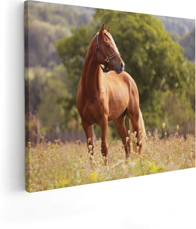 Artaza Canvas Schilderij Paard - 100x80 cm - Groot - Wanddecoratie Weiland - Muurdecoratie Dieren - Schilderijen Op Canvas