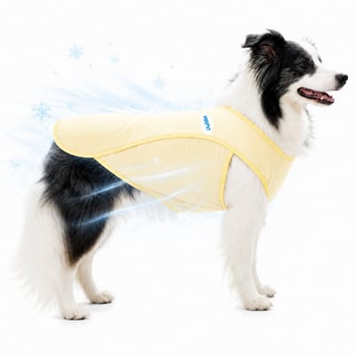 Honden Koelvest – Verkoelend Hondenvest – Ademend & UV-Bescherming – Lichtgewicht – Voor Middelgrote & Grote Honden – Geel - 2XL – 1 Stuk